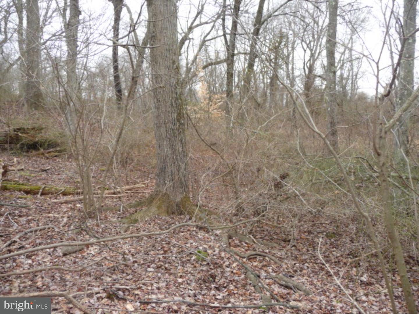 Lot 2 Crosswicks Ellisdale Road Chesterfield, NJ 08515 - Photo 21 of 24