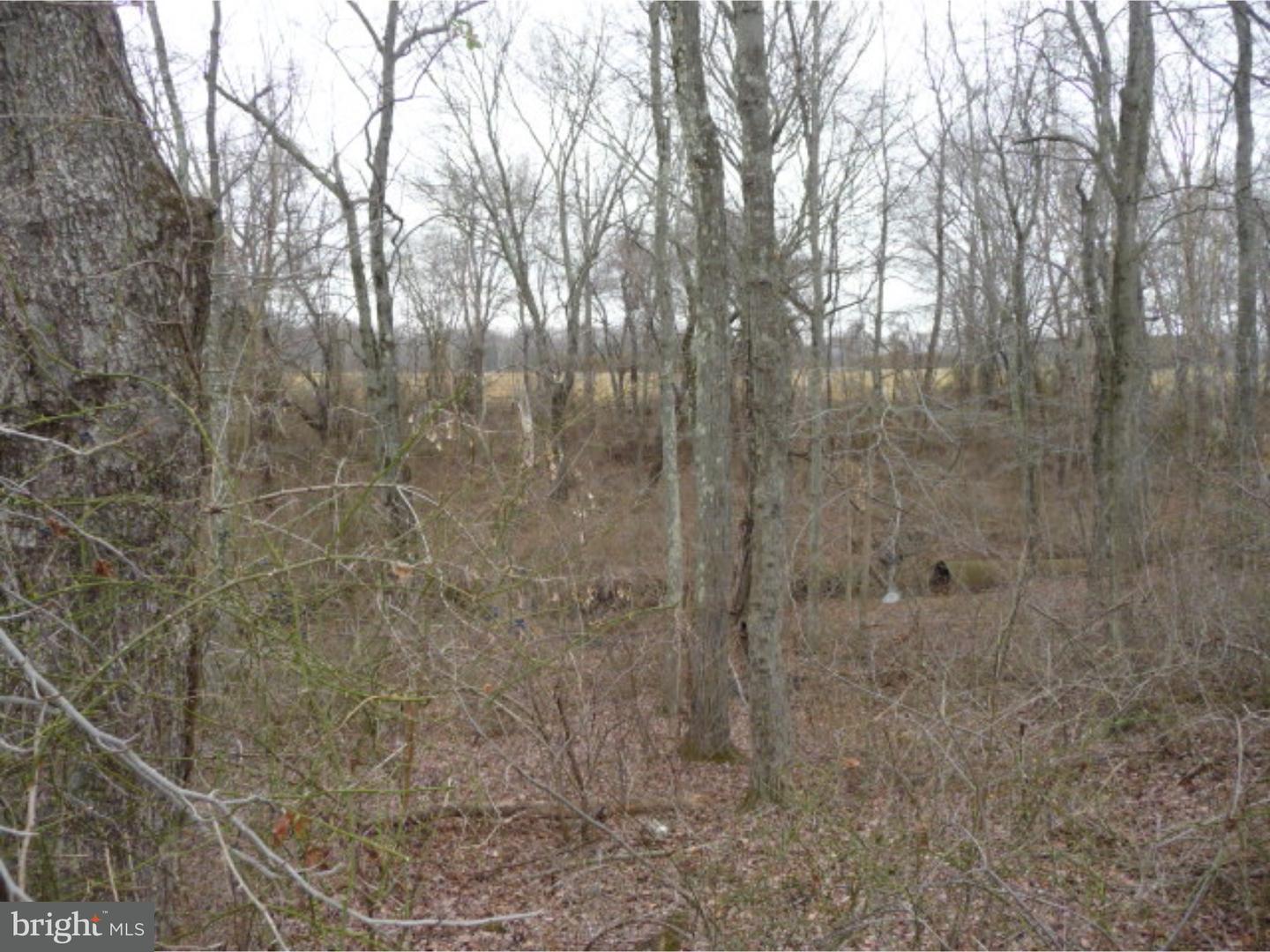 Lot 2 Crosswicks Ellisdale Road Chesterfield, NJ 08515 - Photo 22 of 24