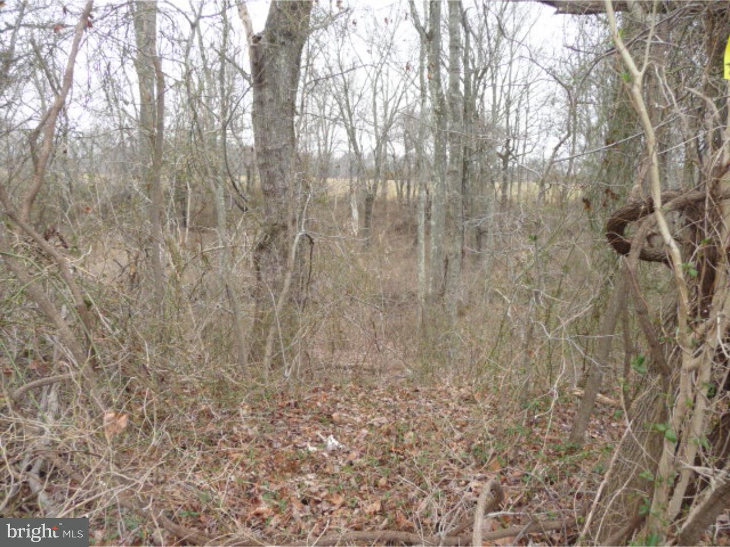 Lot 2 Crosswicks Ellisdale Road Chesterfield, NJ 08515 - Photo 23 of 24