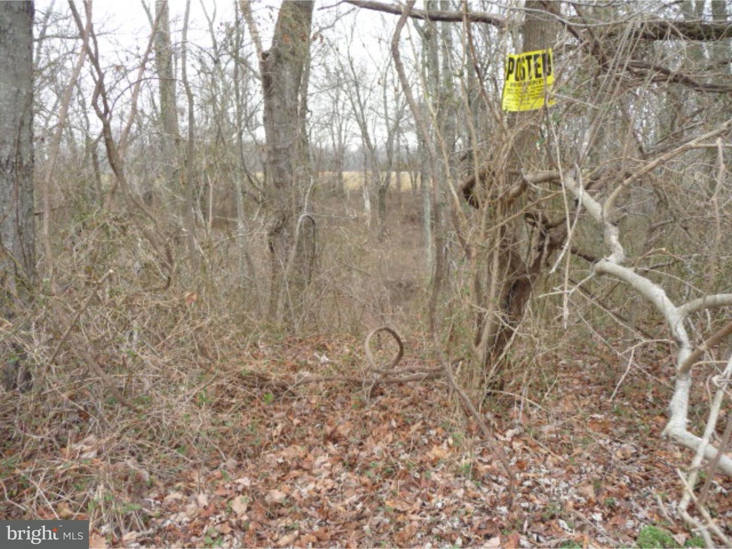 Lot 2 Crosswicks Ellisdale Road Chesterfield, NJ 08515 - Photo 24 of 24