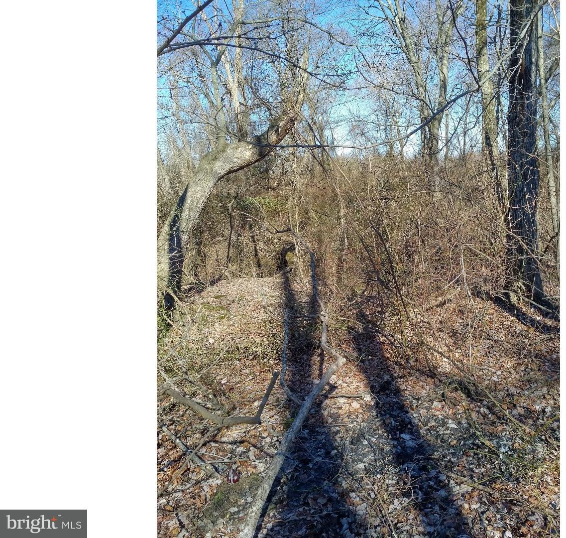 Lot 2 Crosswicks Ellisdale Road Chesterfield, NJ 08515 - Photo 4 of 24