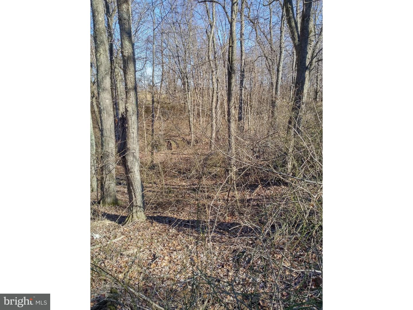 Lot 2 Crosswicks Ellisdale Road Chesterfield, NJ 08515 - Photo 5 of 24