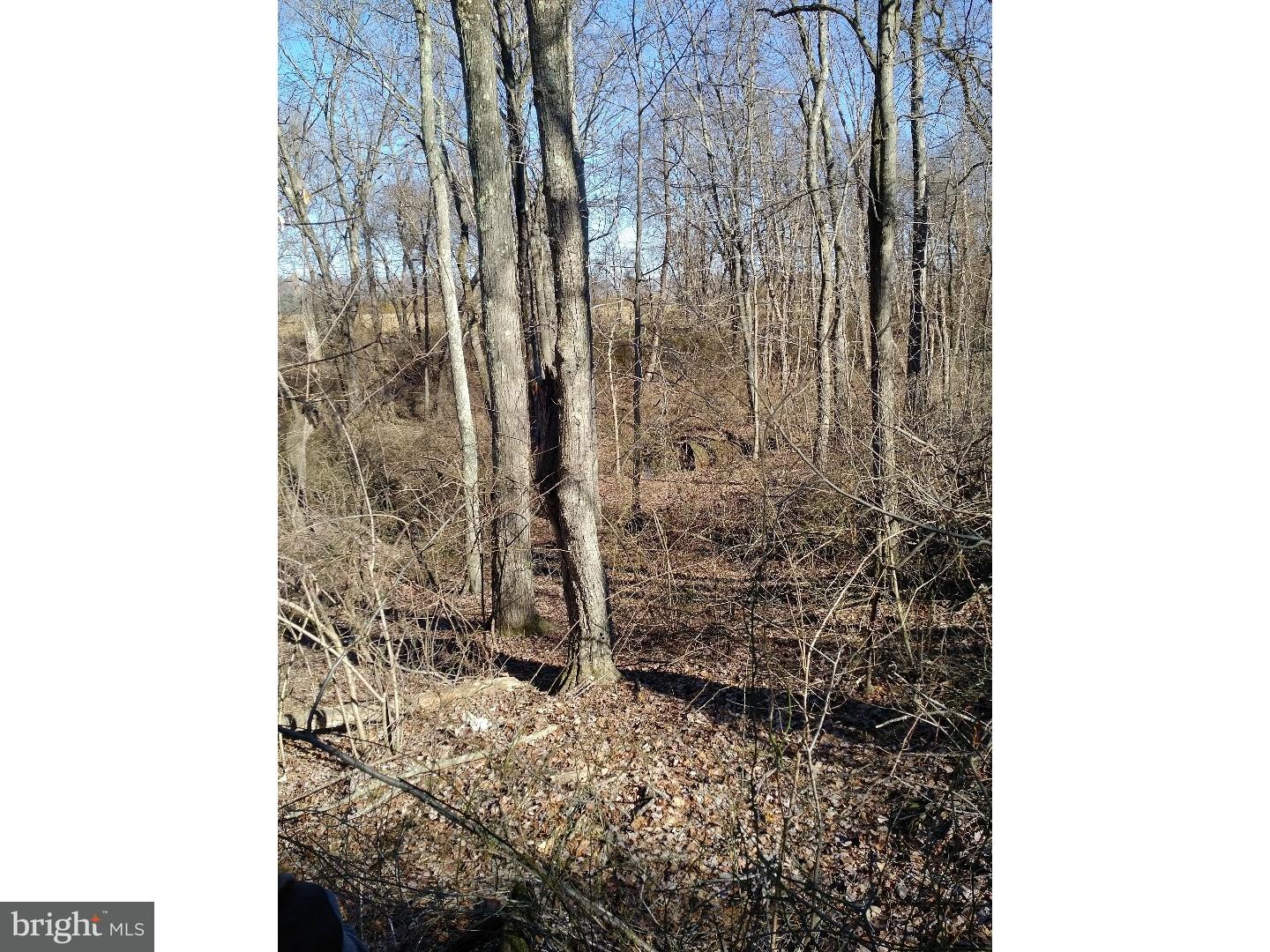 Lot 2 Crosswicks Ellisdale Road Chesterfield, NJ 08515 - Photo 6 of 24