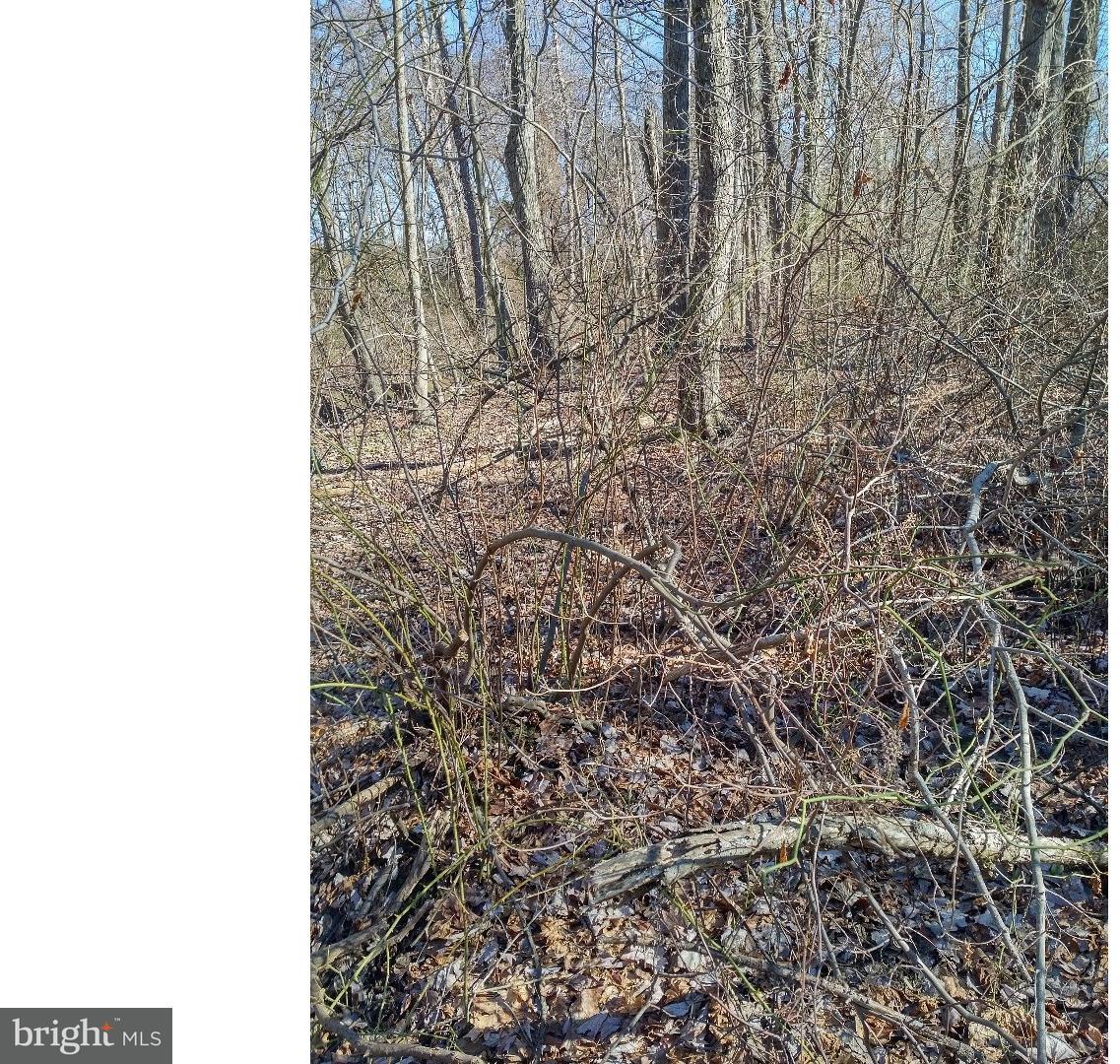 Lot 2 Crosswicks Ellisdale Road Chesterfield, NJ 08515 - Photo 7 of 24