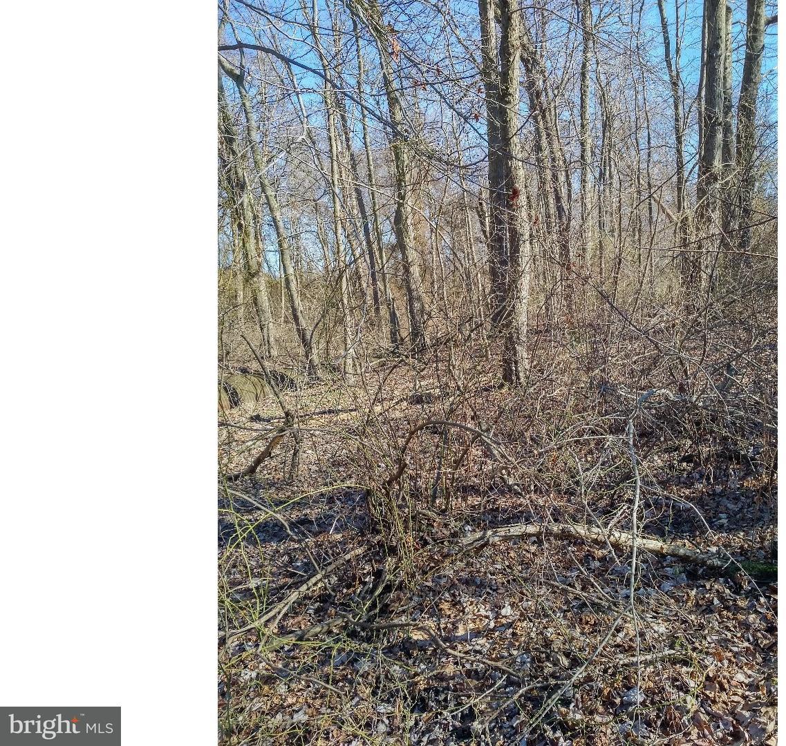 Lot 2 Crosswicks Ellisdale Road Chesterfield, NJ 08515 - Photo 8 of 24