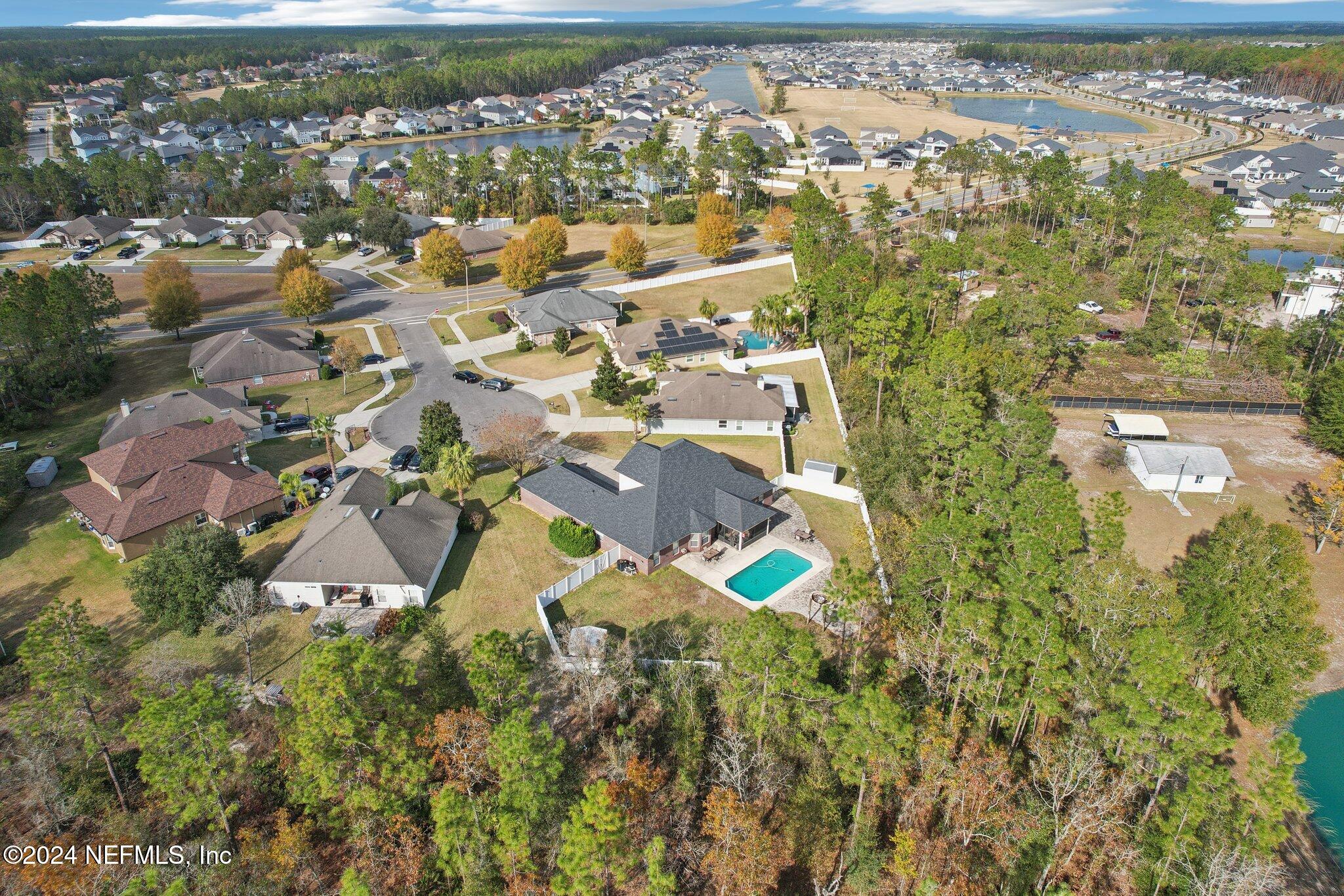 3900 Pipit Point Middleburg, FL 32068 - Photo 46 of 59 Aerial View 3
