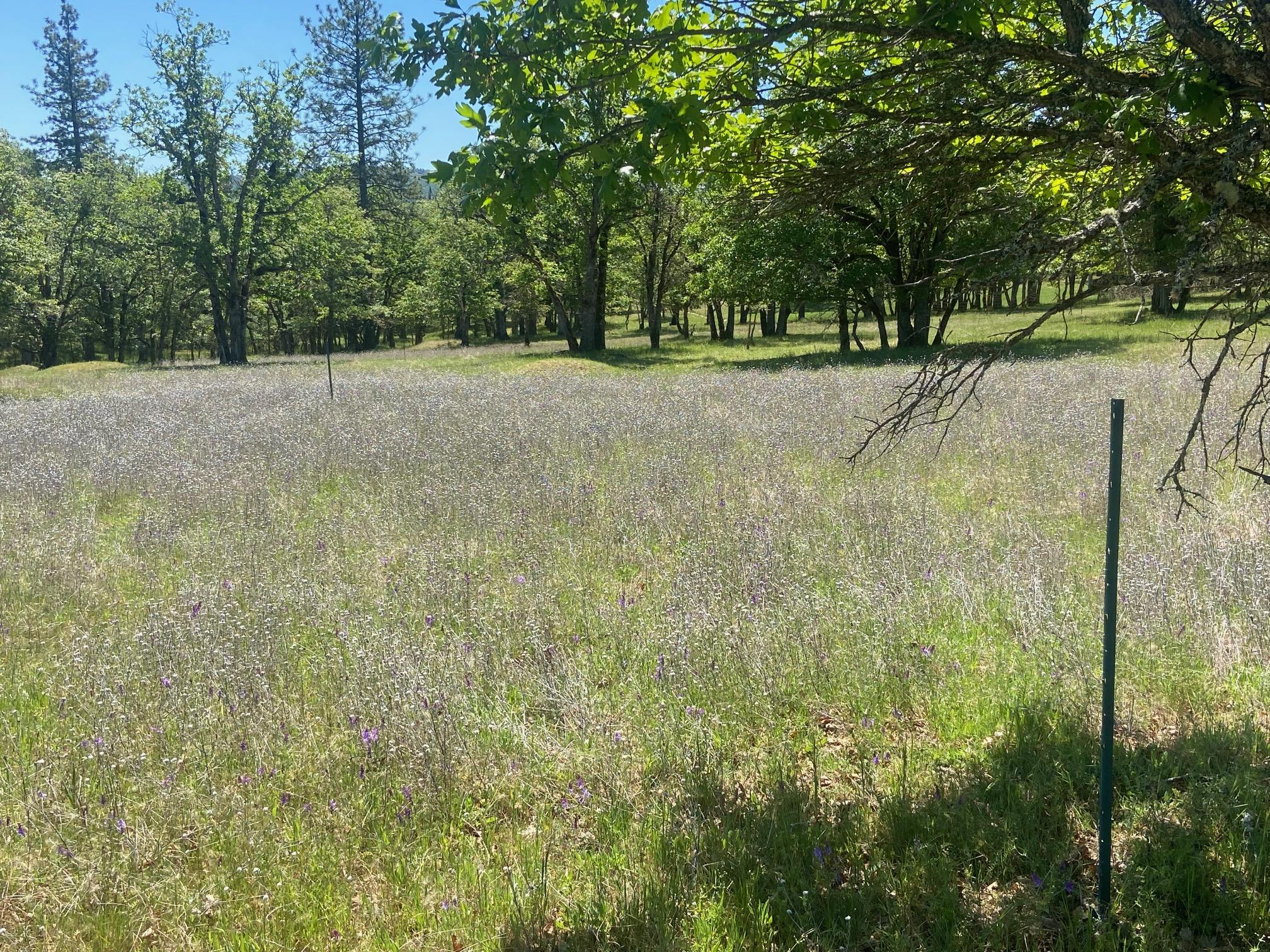 13067 Duggan Road Gold Hill, OR 97525 - Photo 6 of 11 Prior Homesite 2
