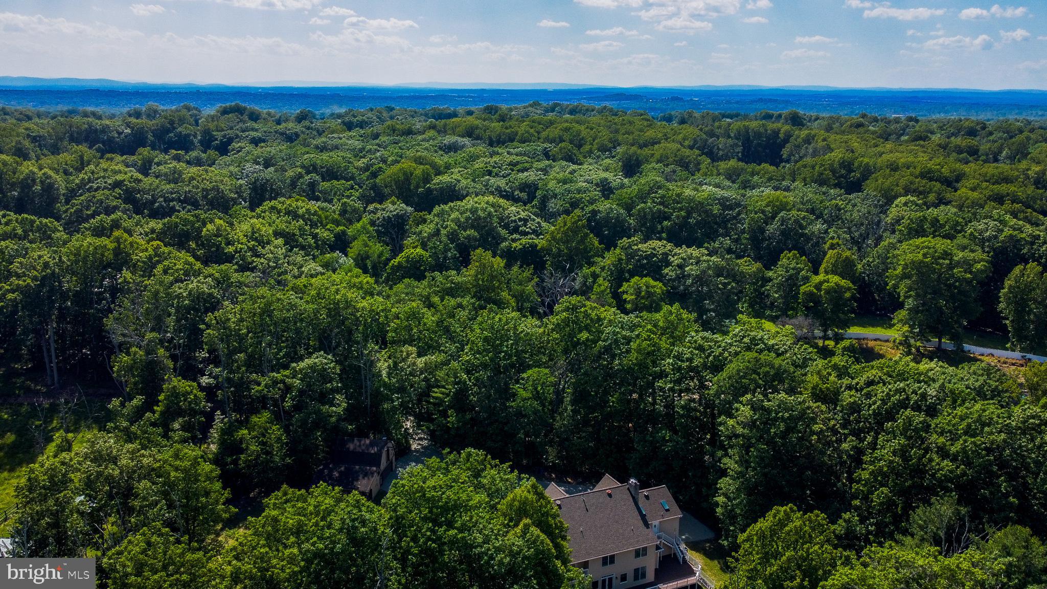 813 Blacks Hill Road Great Falls, VA 22066 - Photo 89 of 92 Great View!!