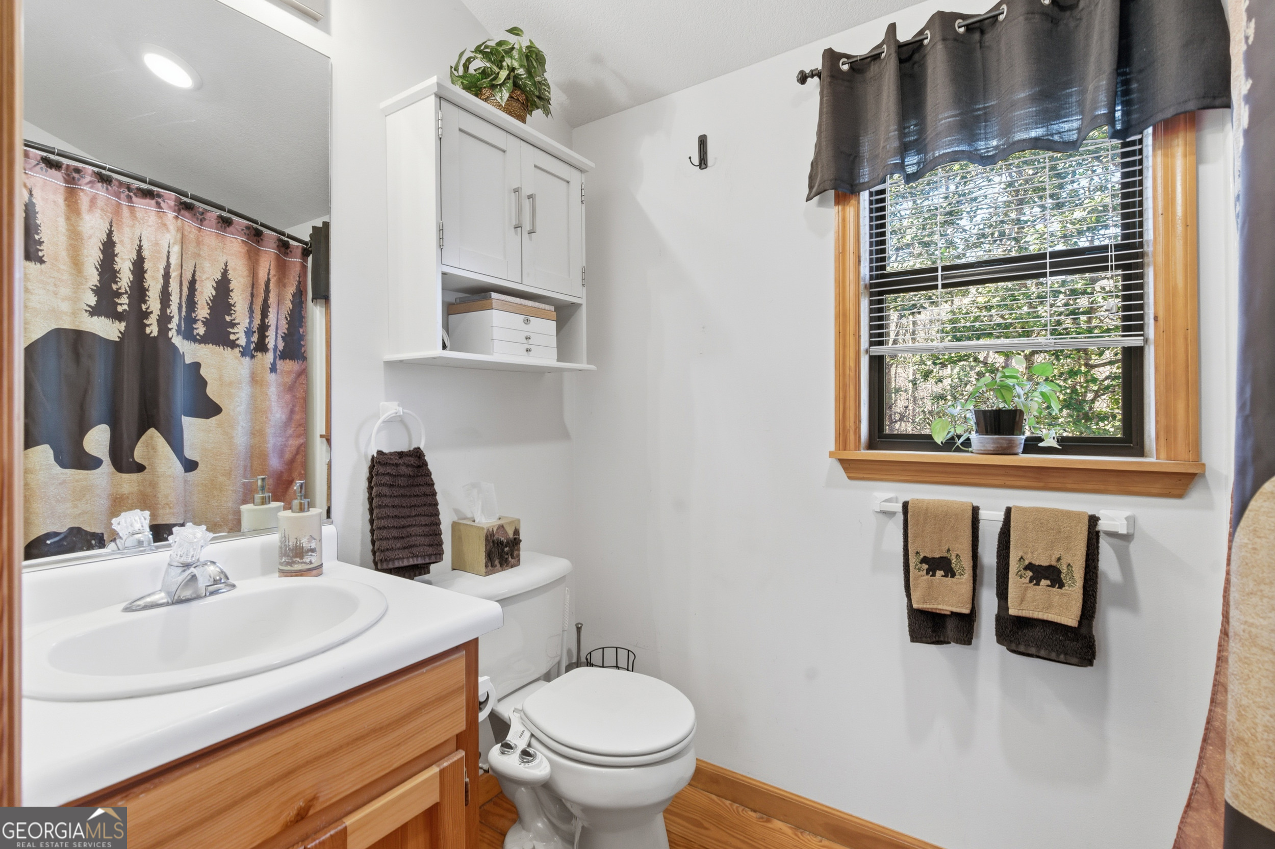1637 Townsend Mill Road Young Harris, GA 30582 - Photo 25 of 57 a bathroom with a sink vanity mirror and toilet