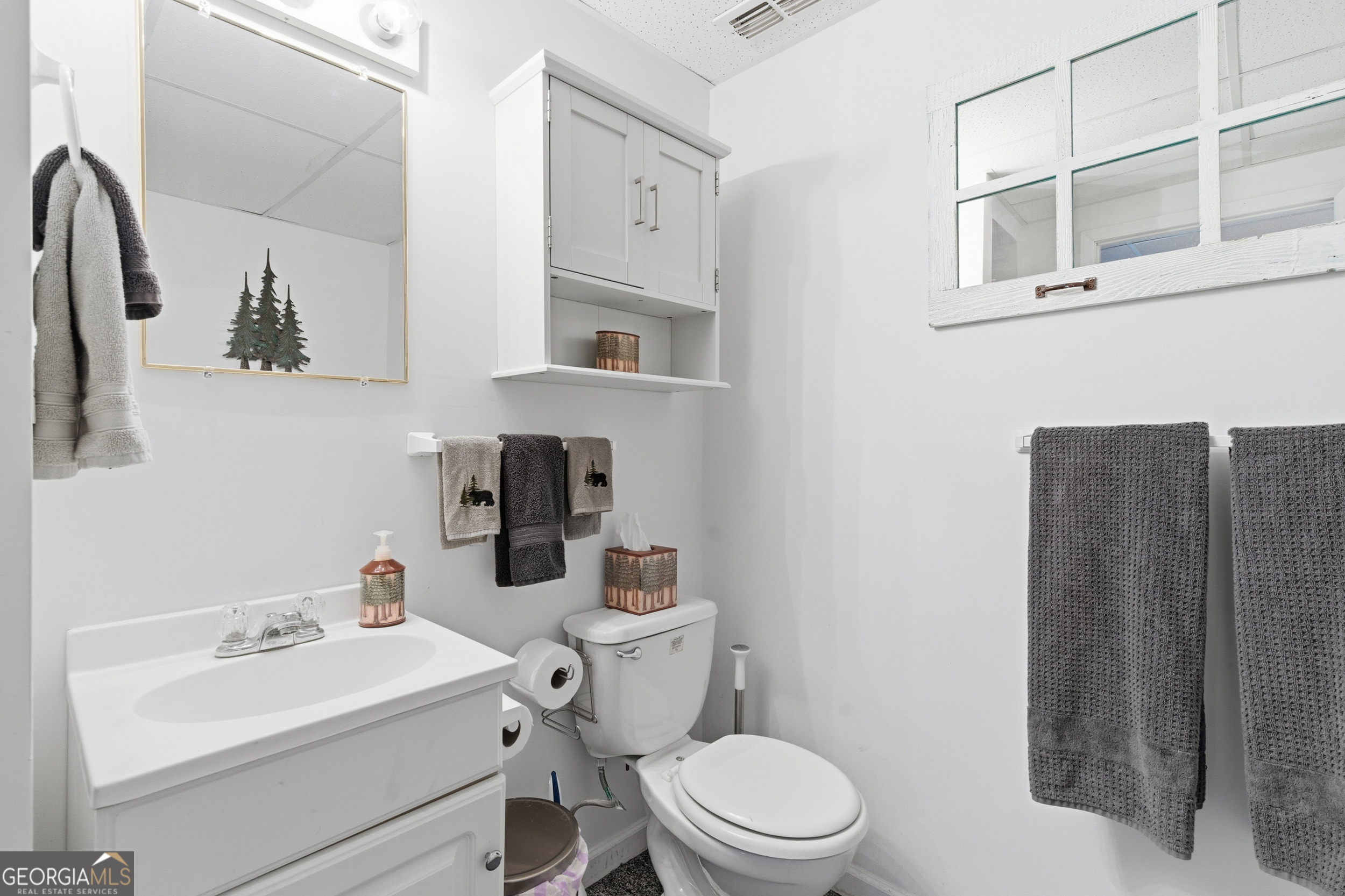 1637 Townsend Mill Road Young Harris, GA 30582 - Photo 30 of 57 a bathroom with a toilet sink and mirror