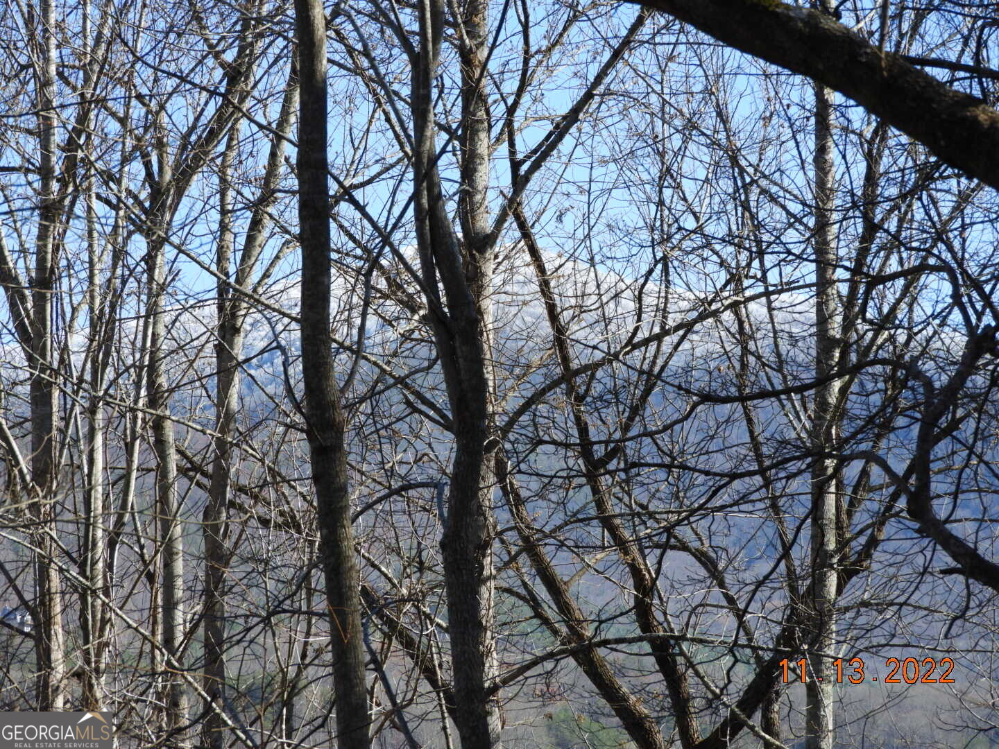 1637 Townsend Mill Road Young Harris, GA 30582 - Photo 57 of 57 a backyard of a house with lots of trees