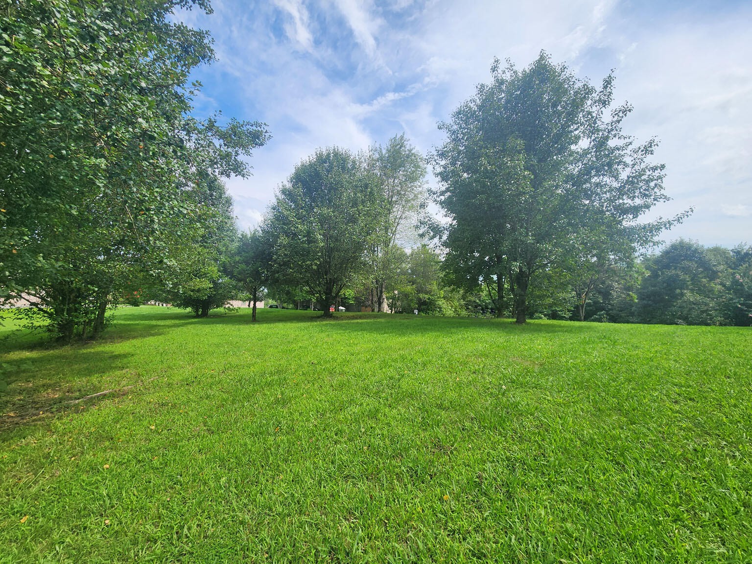 8 Riceland Drive Sevierville, TN 37862 - Photo 10 of 16 a view of a field of grass and trees