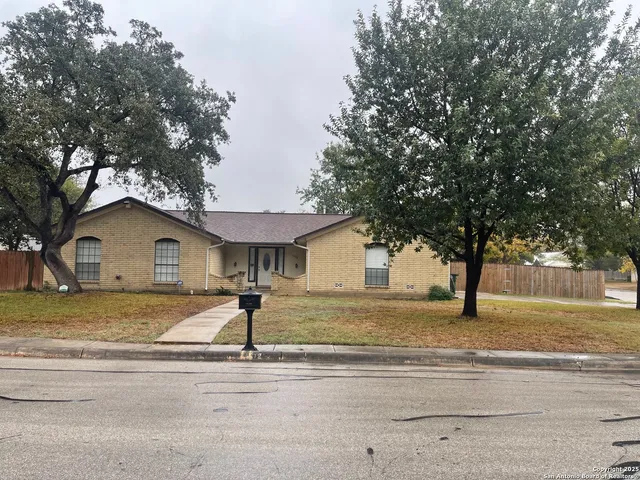 a view of a house with a tree in front of it
