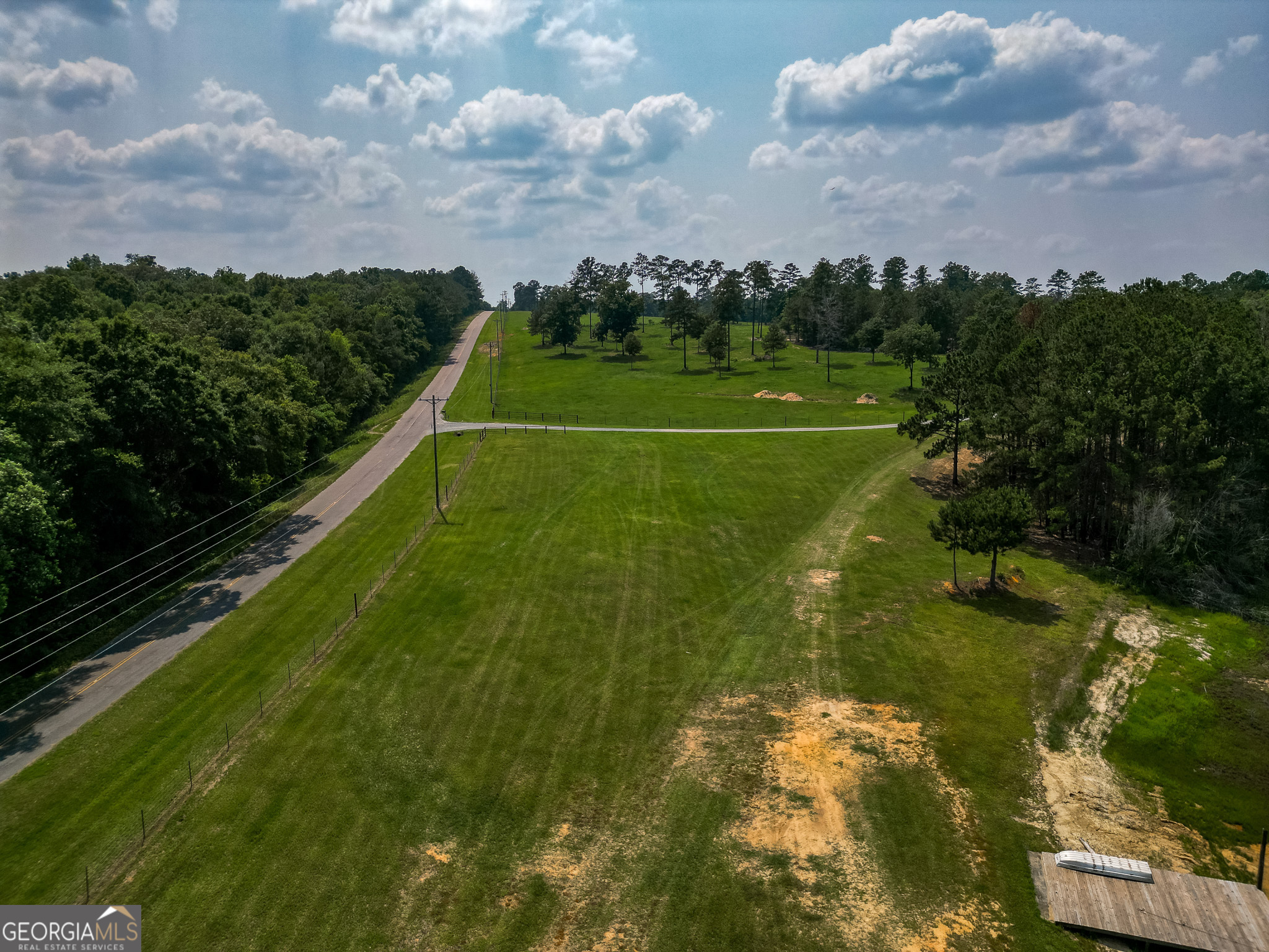 1009 Walter Wells Road Buena Vista, GA 31803 - Photo 13 of 20 a view of a golf course with a lake