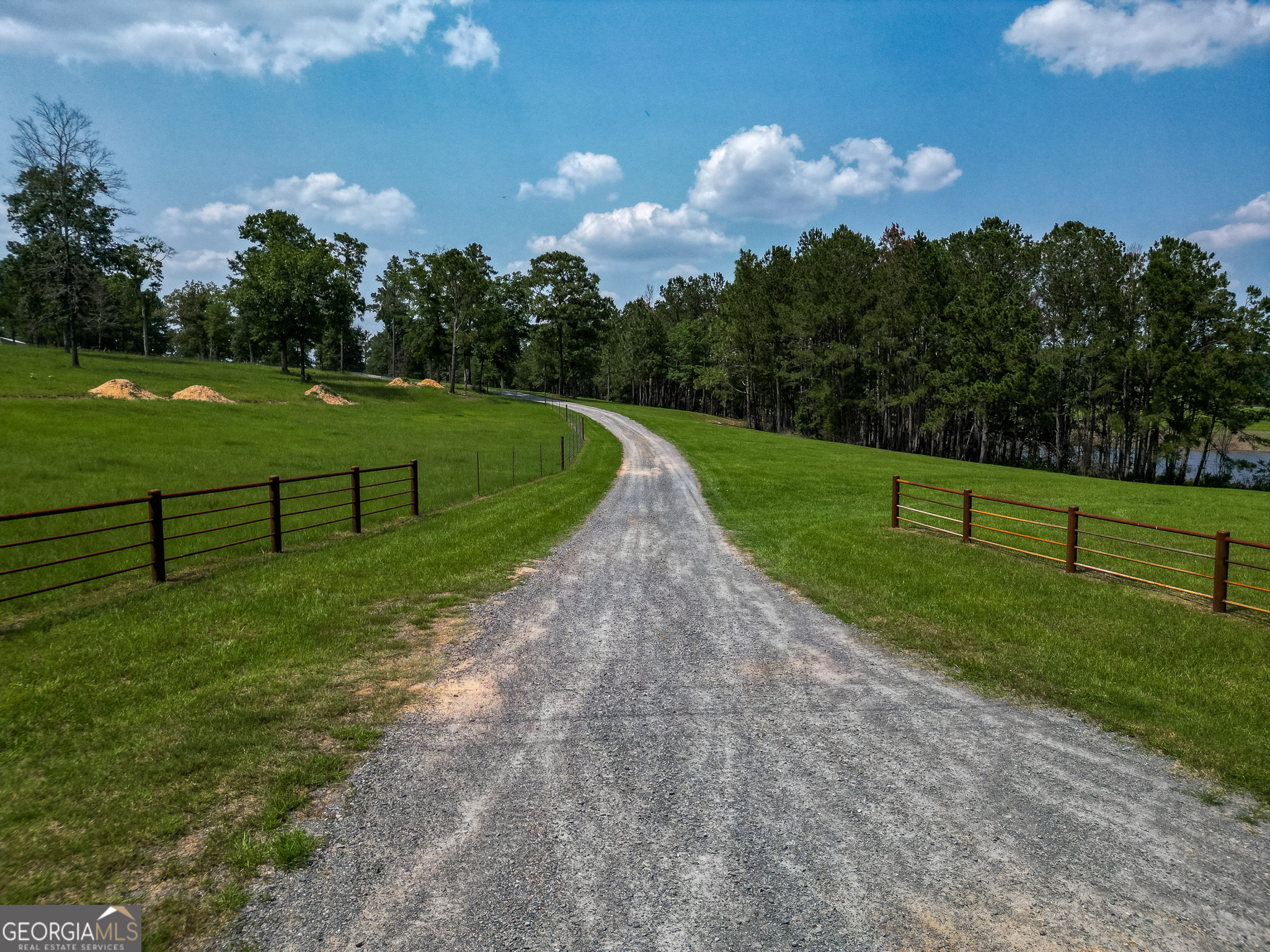 1009 Walter Wells Road Buena Vista, GA 31803 - Photo 14 of 20 a view of a golf course with a garden