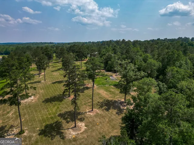 a view of a lake with a city