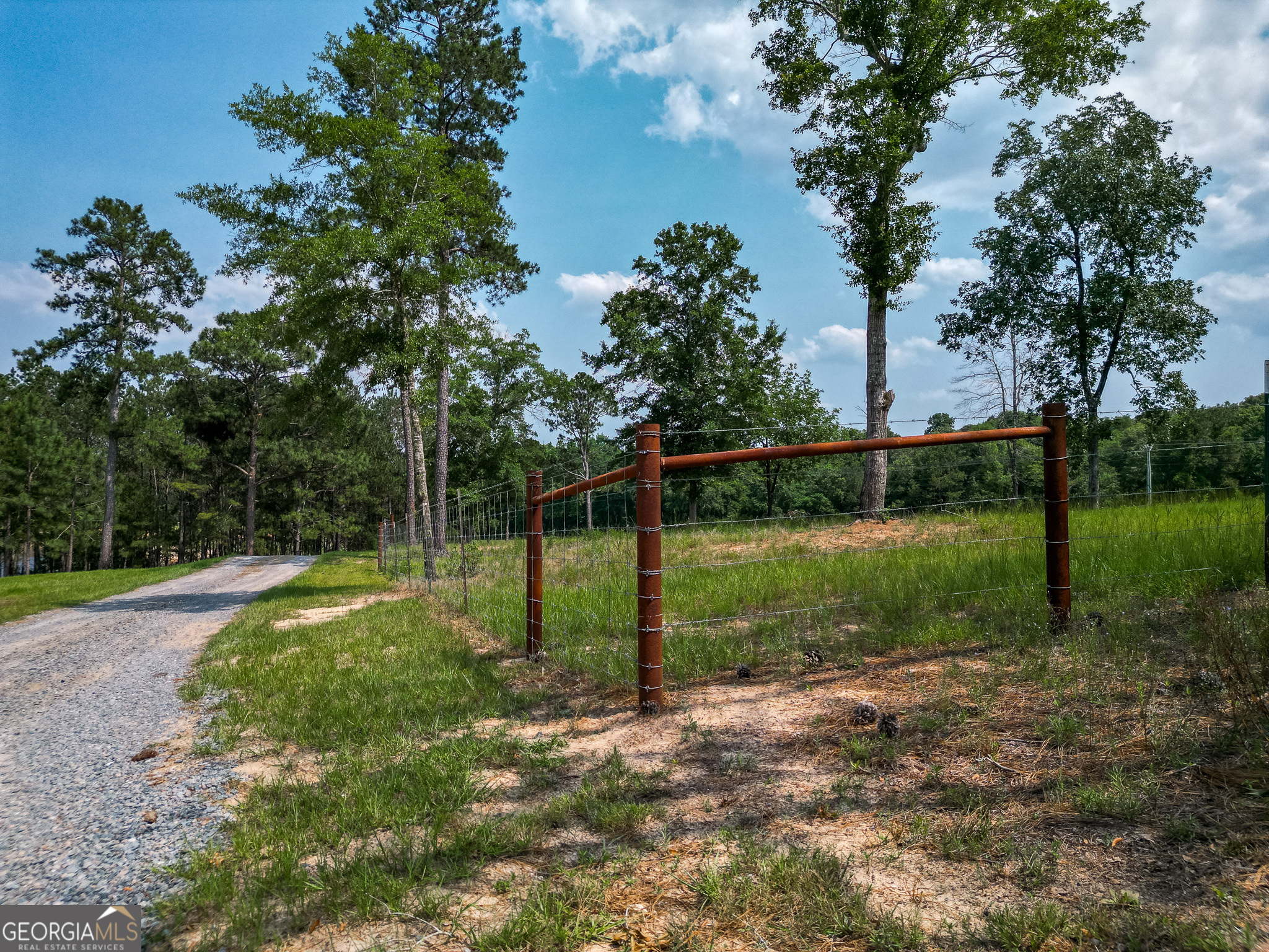 1009 Walter Wells Road Buena Vista, GA 31803 - Photo 4 of 20 a view of a park