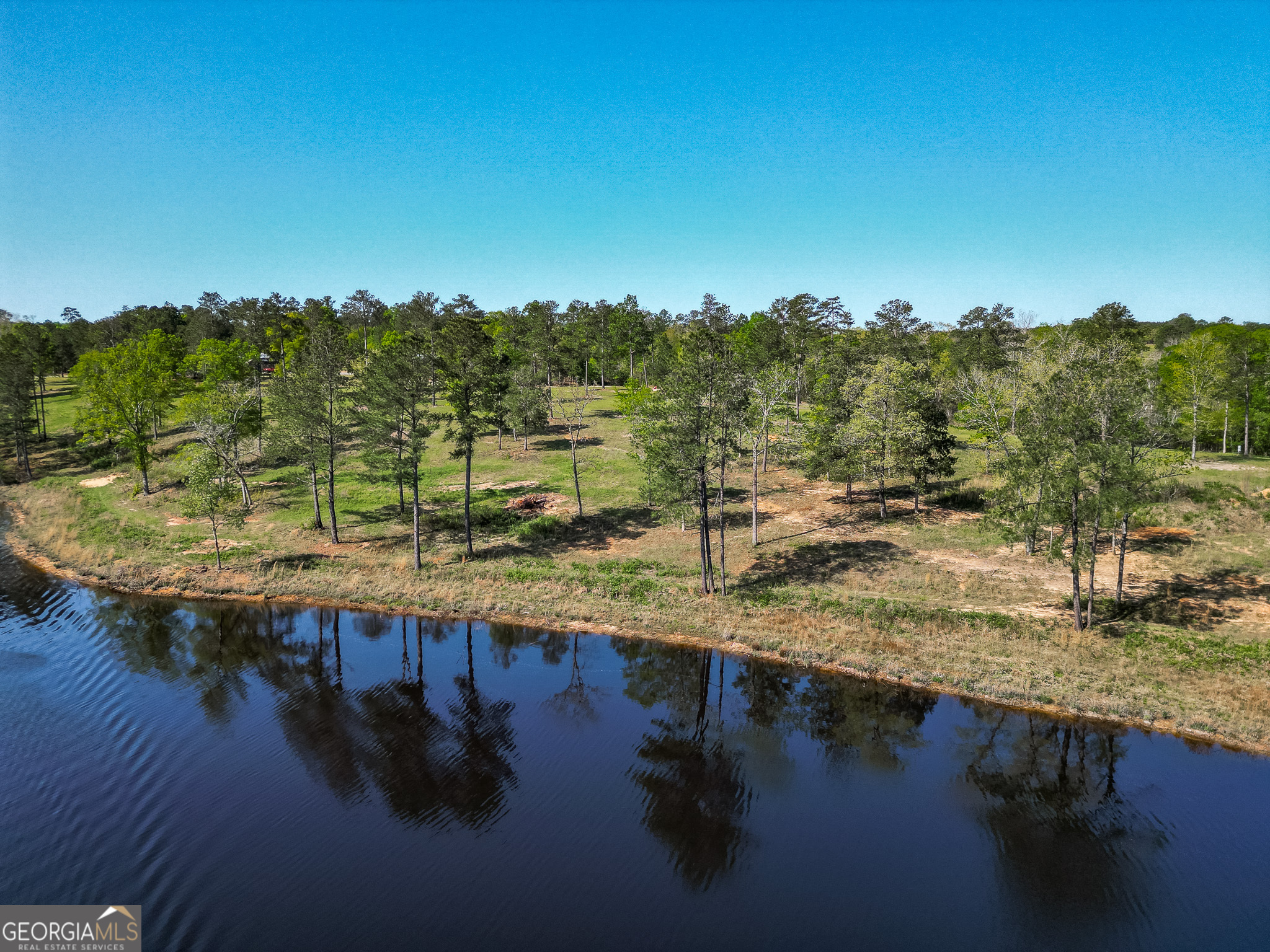 1009 Walter Wells Road Buena Vista, GA 31803 - Photo 5 of 20 a view of a lake with a mountain