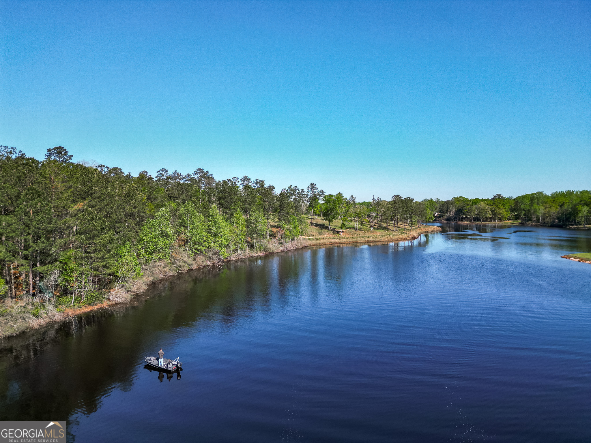 1009 Walter Wells Road Buena Vista, GA 31803 - Photo 6 of 20 a view of lake with green space