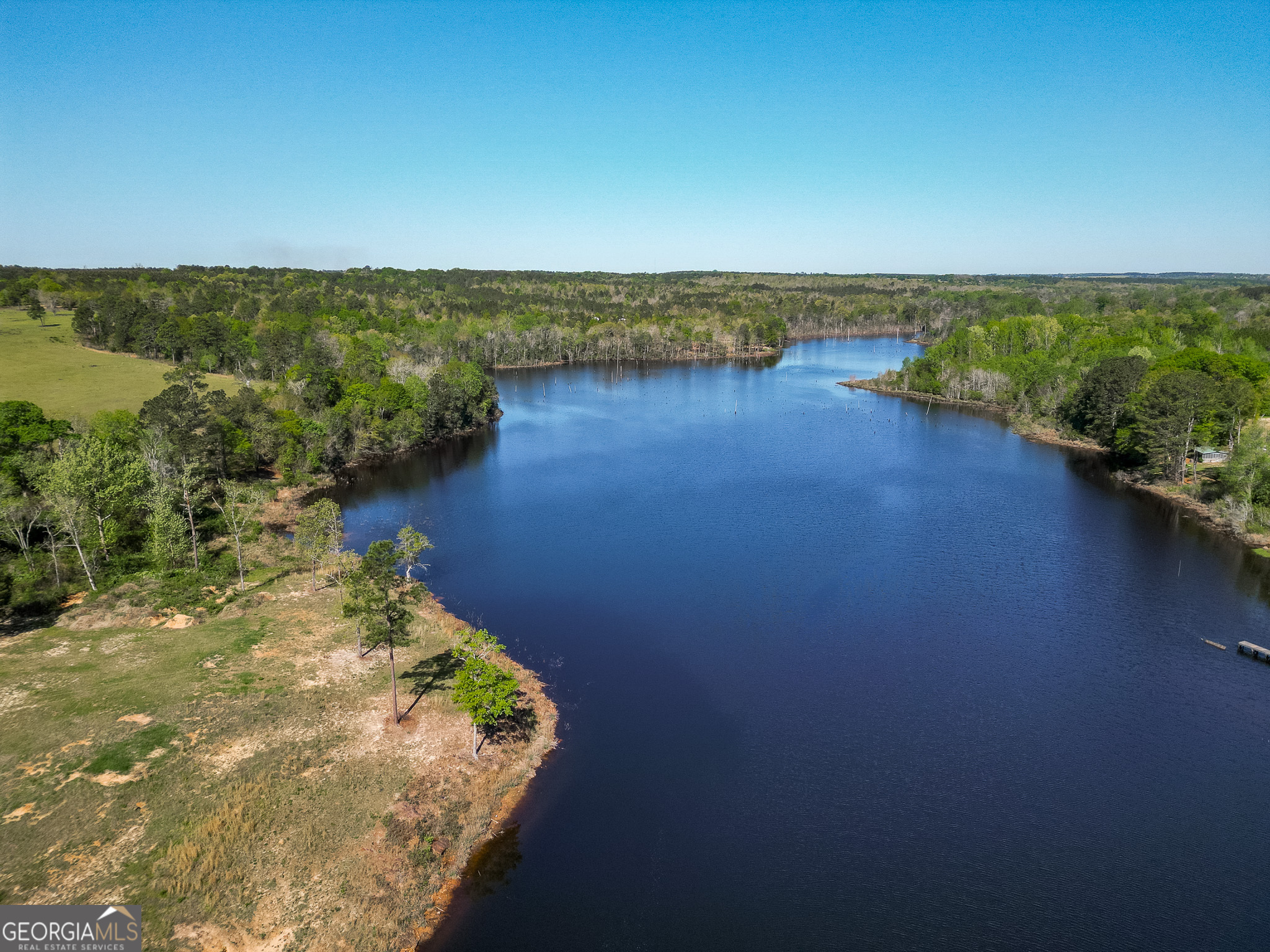1009 Walter Wells Road Buena Vista, GA 31803 - Photo 7 of 20 a view of a lake with a city