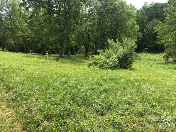 a view of outdoor space with a garden and trees