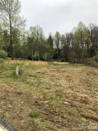 a view of a yard with trees