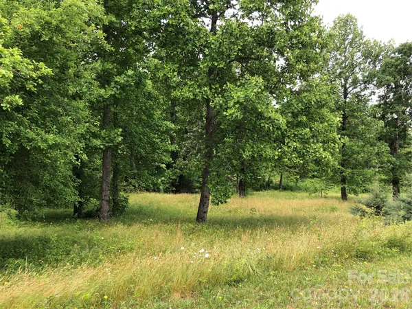 a view of a lush green space