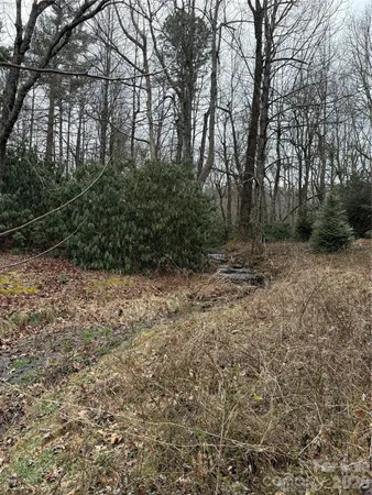 a view of a yard with a tree