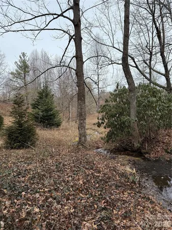 a view of a yard with plants and tree