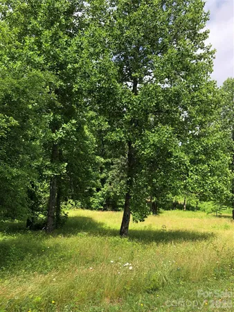 a view of yard with green space