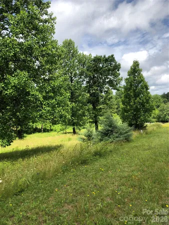 a view of a lush green space