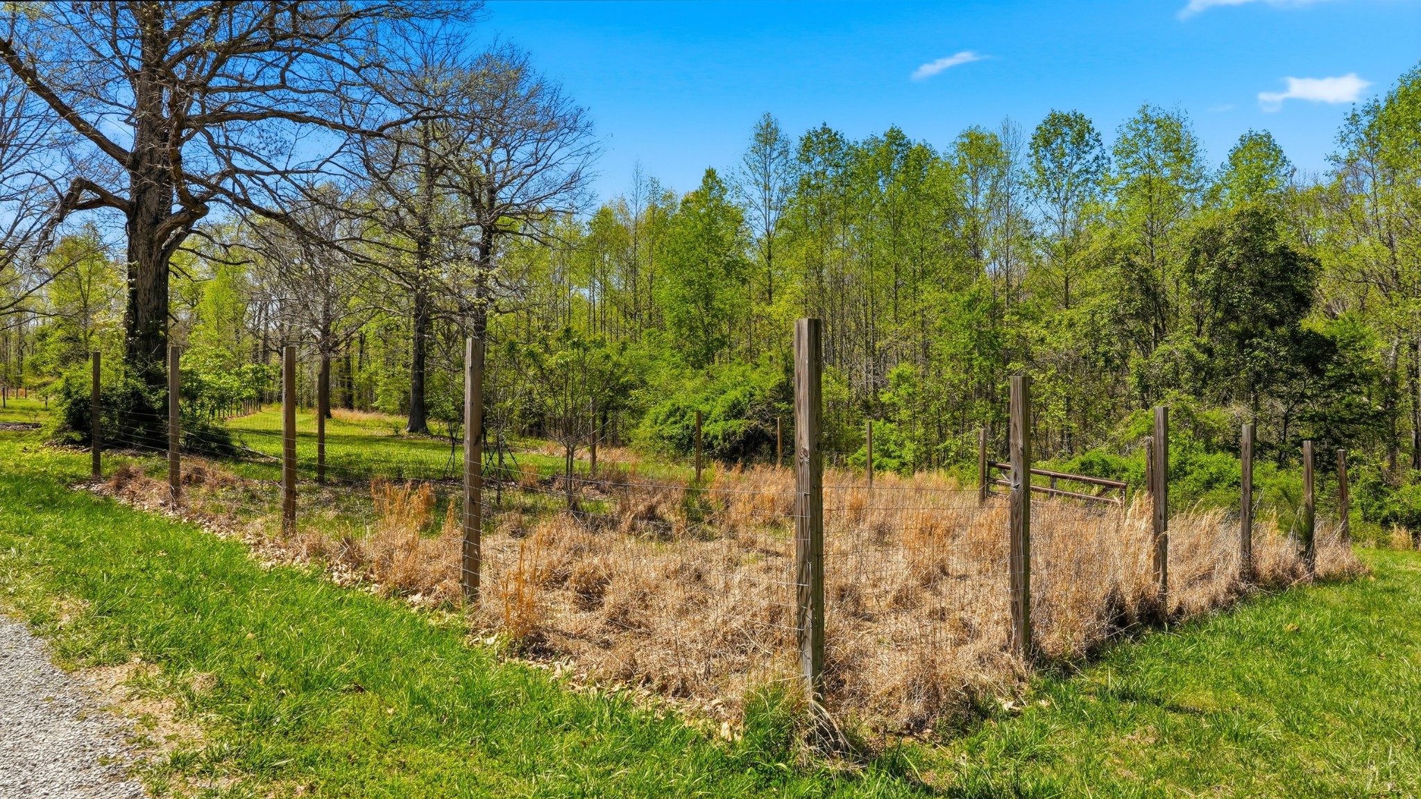 7915 Ridgewood Road Goodlettsville, TN 37072 - Photo 37 of 49 a view of a backyard