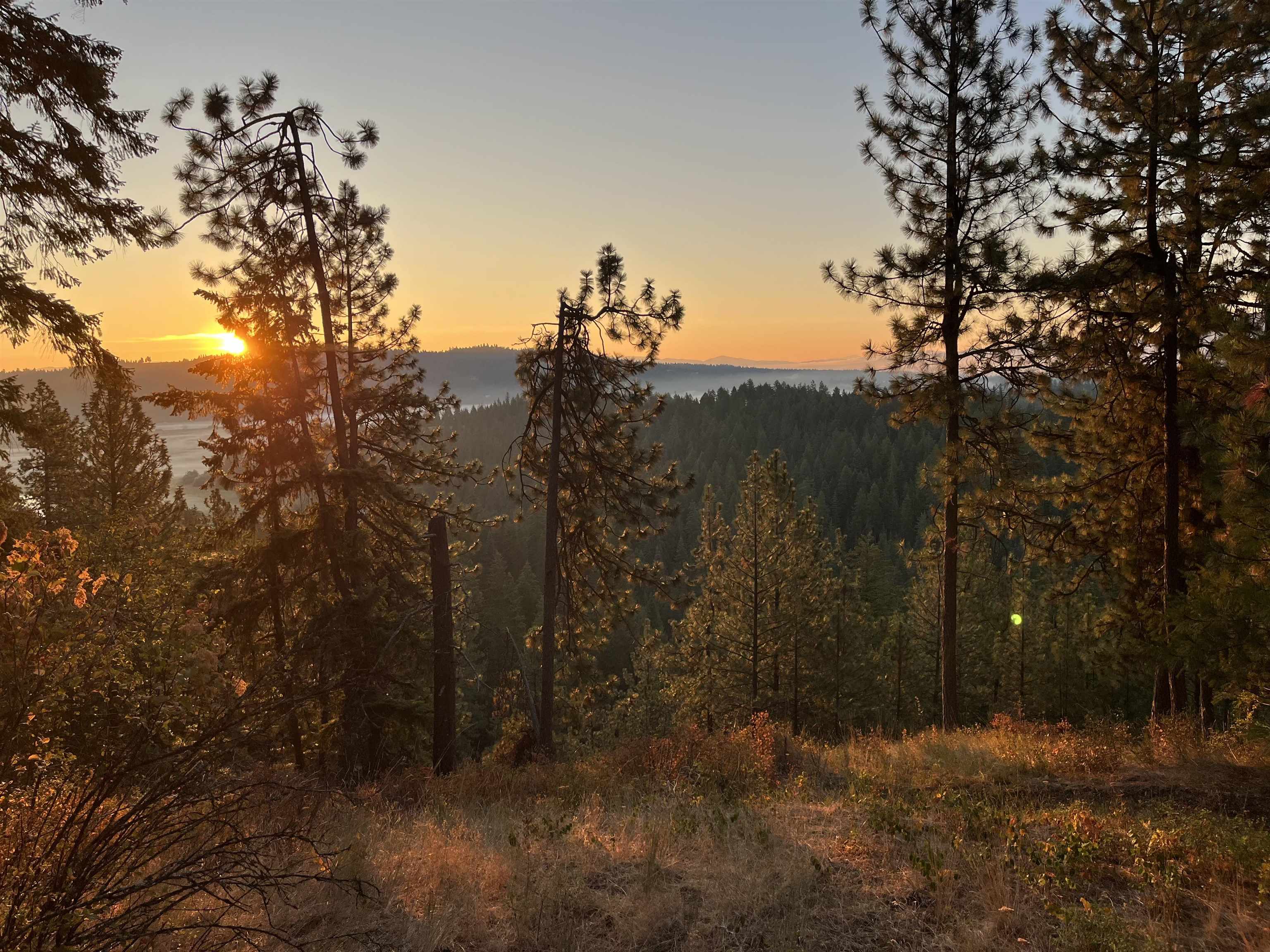 22707 East Campbell Road Newman Lake, WA 99025 - Photo 42 of 43
