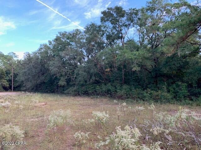 605 Mine Road Midway, FL 32343 - Photo 15 of 17 Gallery Image 15