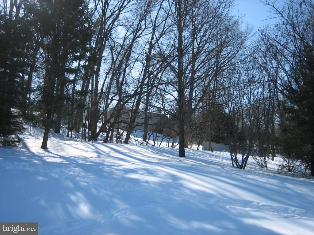 746 Farmdale Road Mount Joy, PA 17552 - Photo 19 of 20 Gallery Image 19