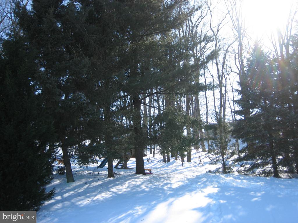 746 Farmdale Road Mount Joy, PA 17552 - Photo 20 of 20 Gallery Image 20