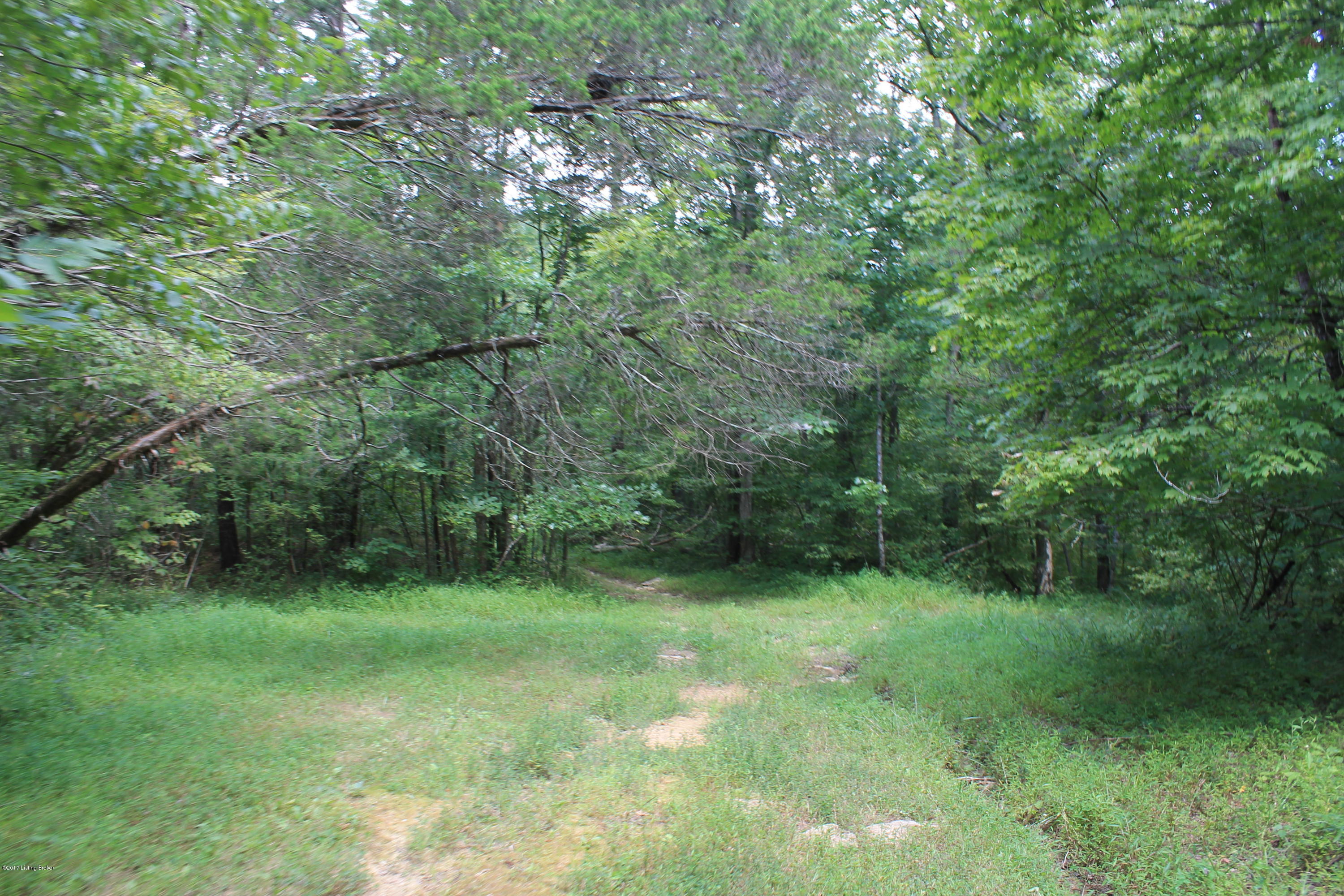 848 Sego Road Mount Eden, KY 40046 - Photo 30 of 48 IMG_7514