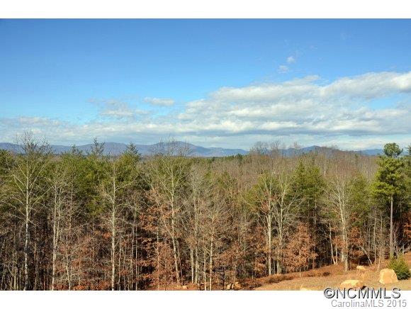 541 Rachel Bell Road Mill Spring, NC 28756 - Photo 19 of 24