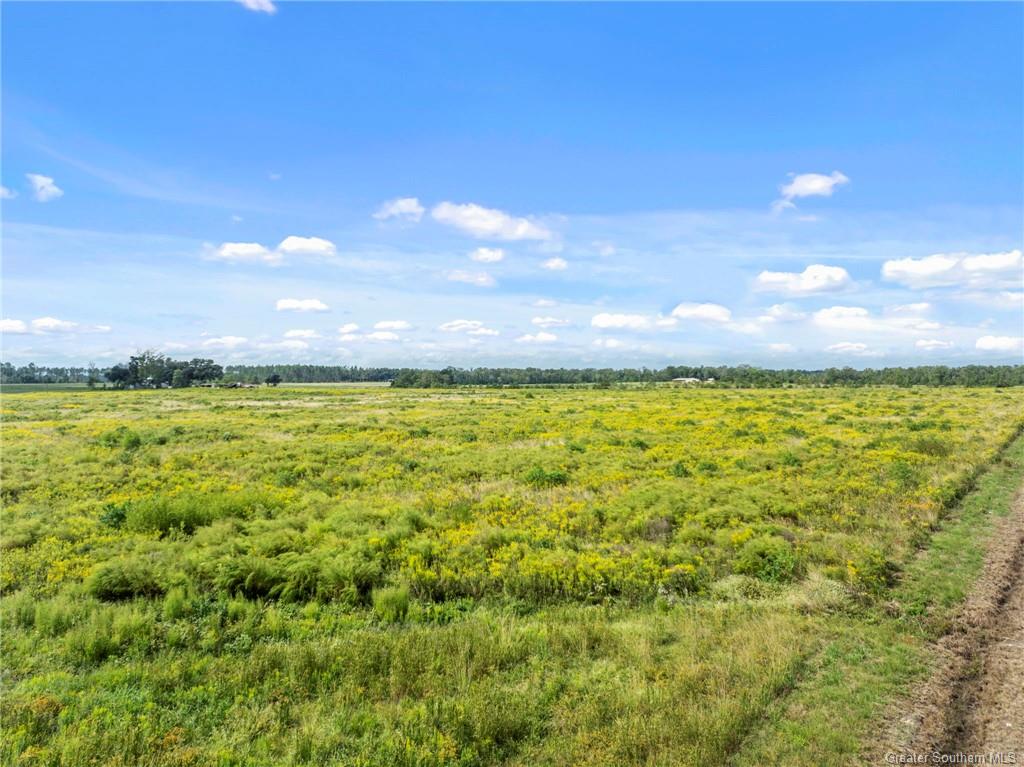 0 Hauser Road Deridder, LA 70634 - Photo 3 of 7