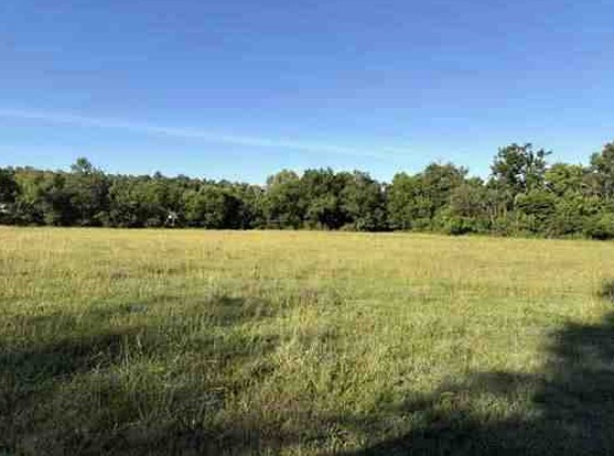 7117 Old Mill Creek Road Lyles, TN 37098 - Photo 15 of 21 Gallery Image 15