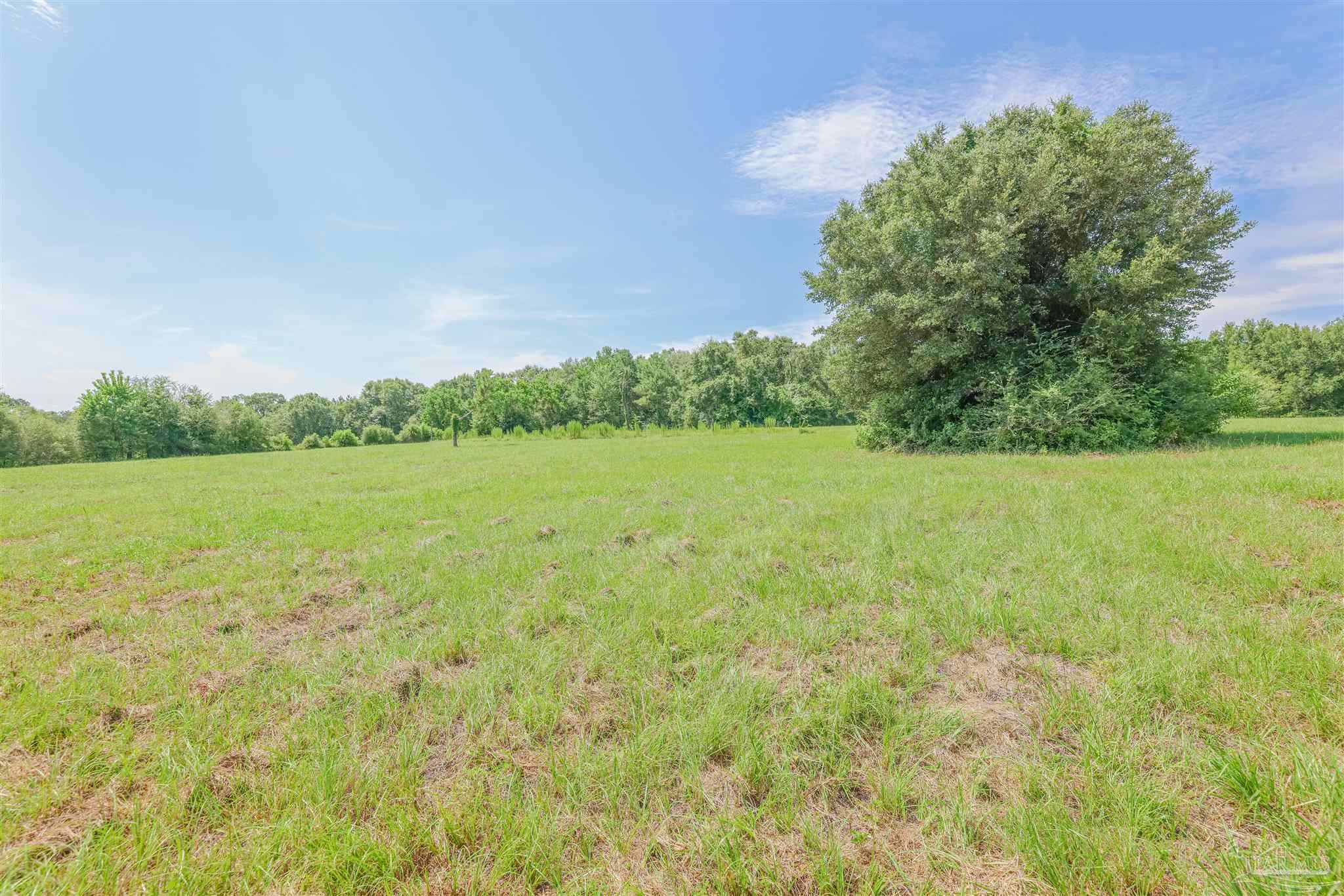 1400 Jacks Branch Road Cantonment, FL 32533 - Photo 9 of 18