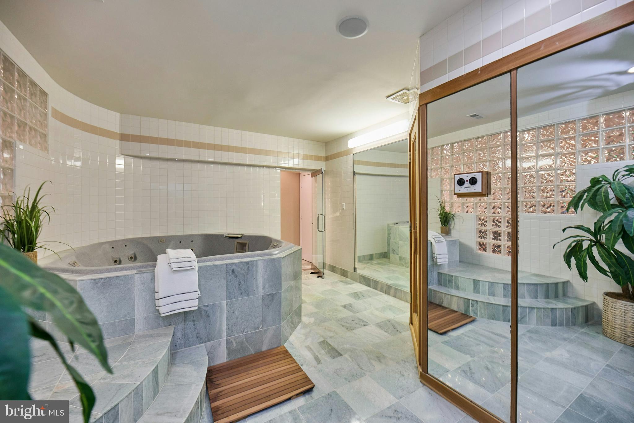 6830 Clifton Road Clifton, VA 20124 - Photo 52 of 85 Lower-level full spa