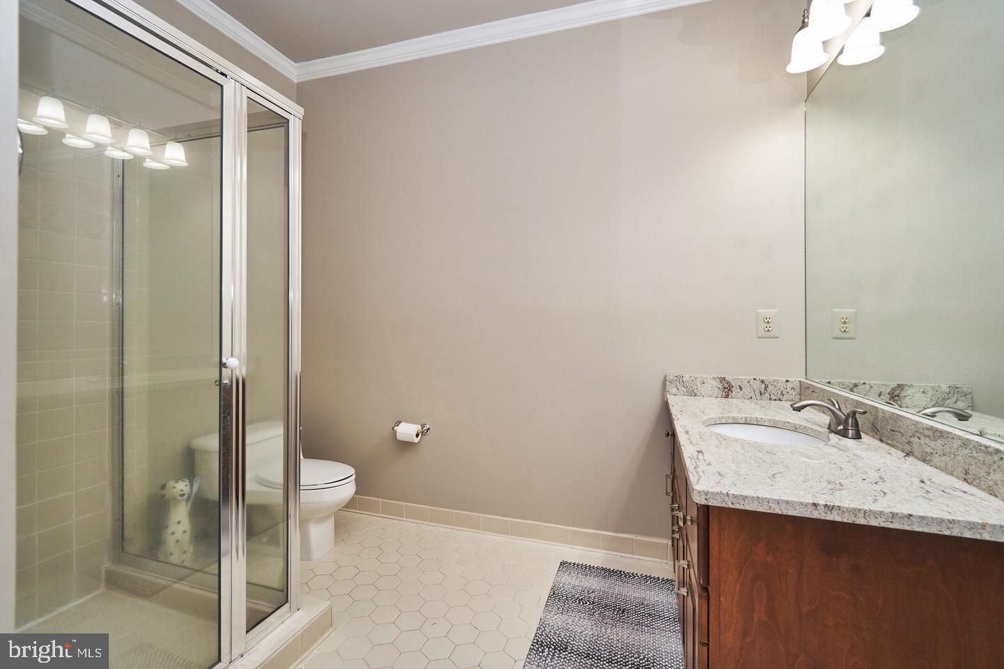 6830 Clifton Road Clifton, VA 20124 - Photo 57 of 85