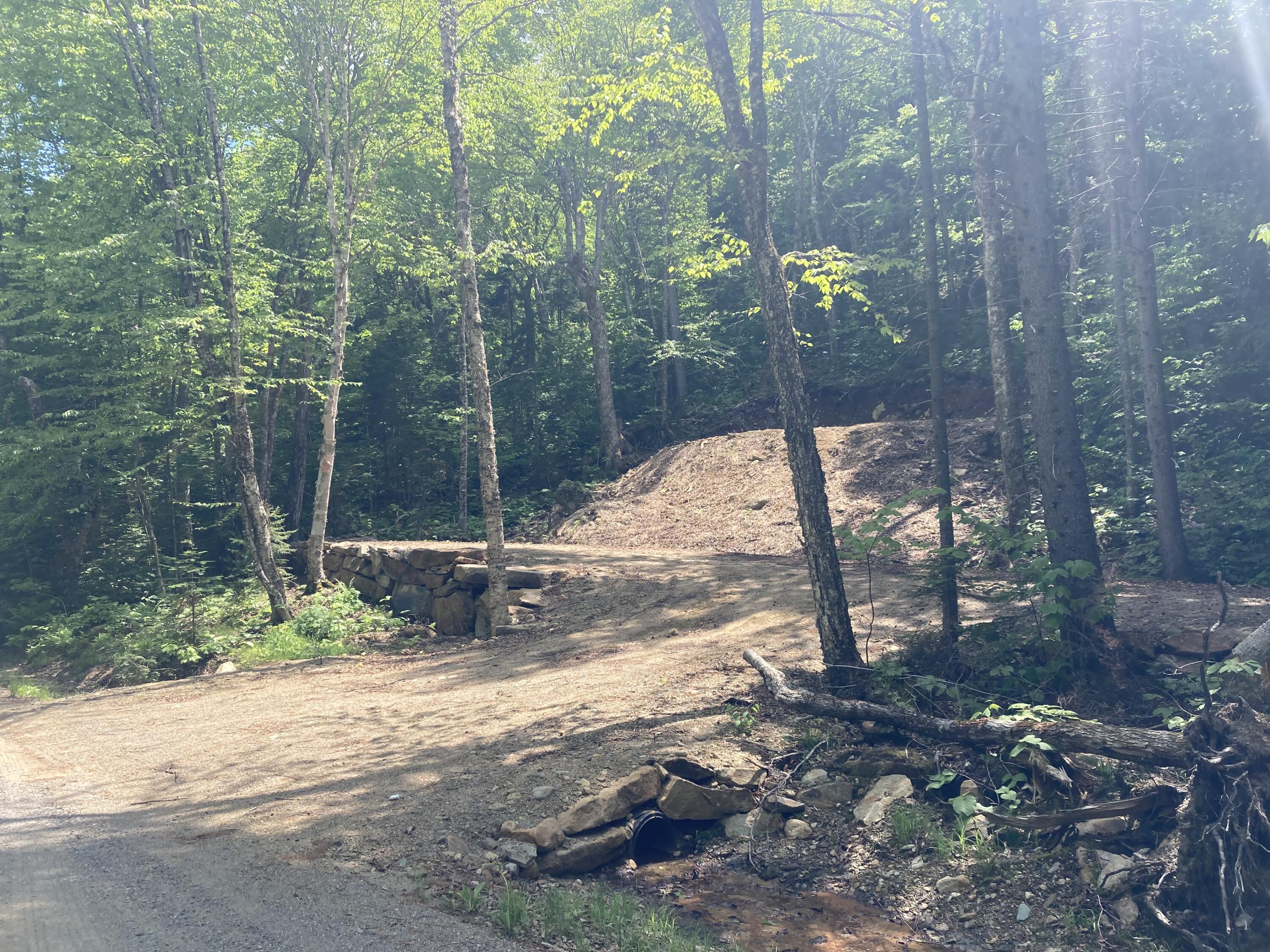 18-19 Edelheid Road Sandy River Plt, ME 04970 - Photo 1 of 11 Streetview