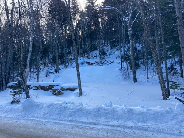 $115,000 | 18-19 Edelheid Road, Sandy River Plt, ME 04970