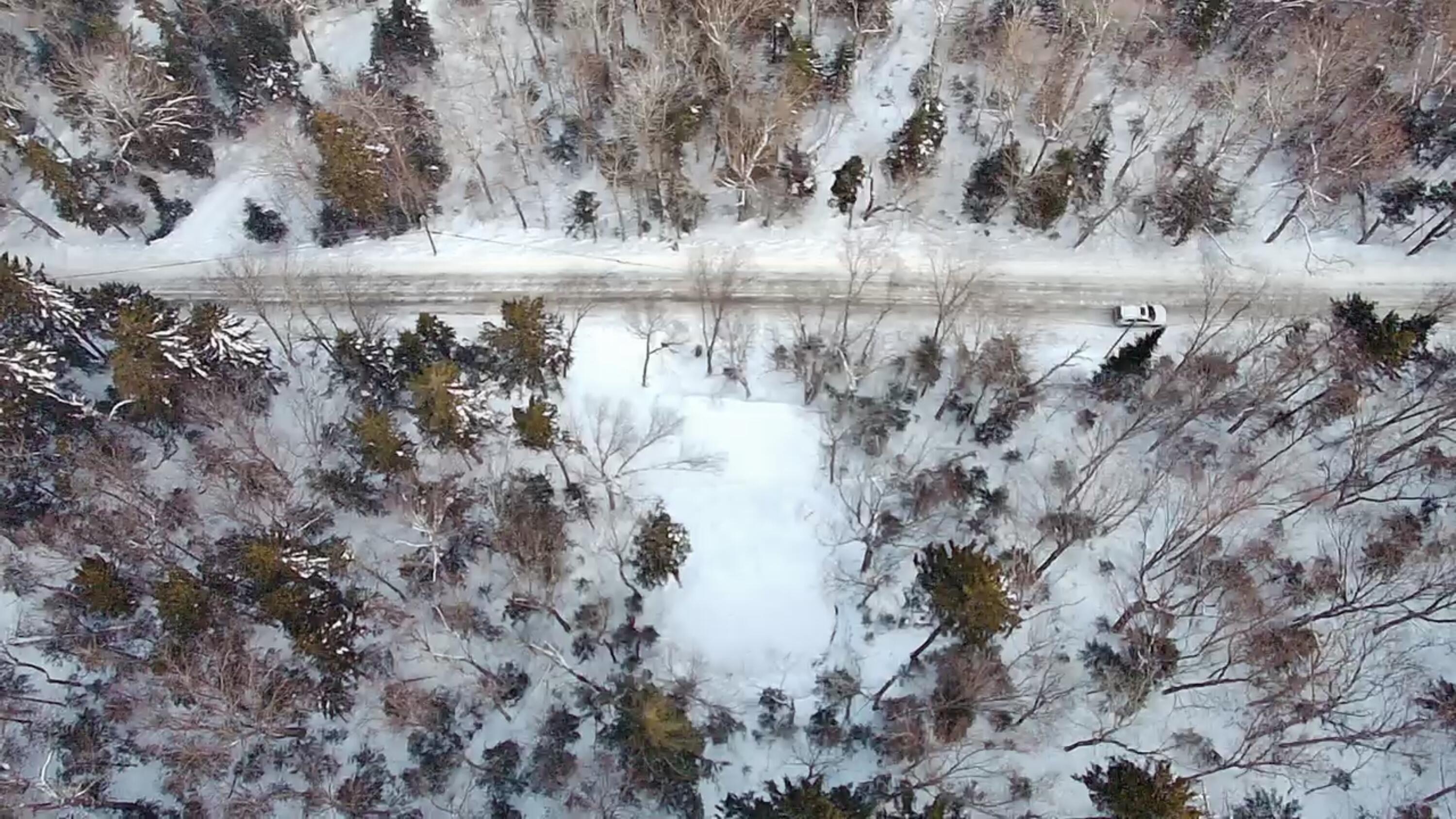 18-19 Edelheid Road Sandy River Plt, ME 04970 - Photo 6 of 11 Overhead View