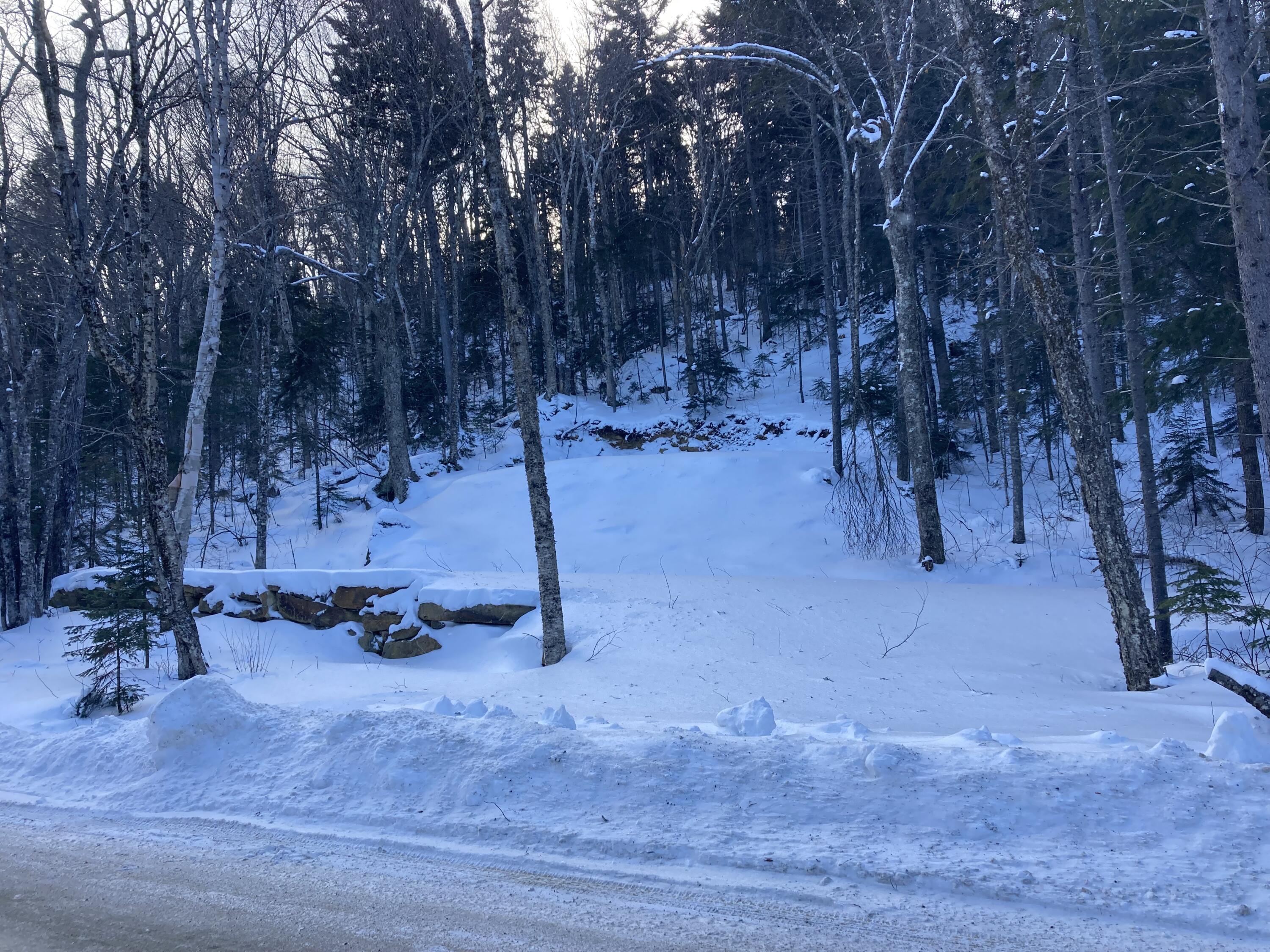 18-19 Edelheid Road Sandy River Plt, ME 04970 - Photo 8 of 11 Street view