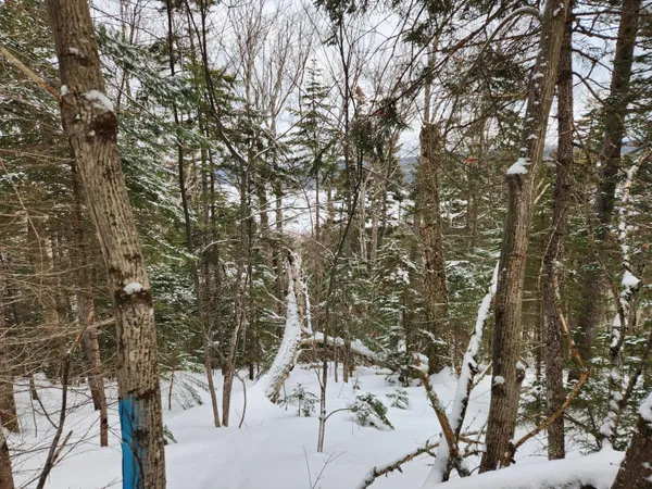 $115,000 | 18-19 Edelheid Road, Sandy River Plt, ME 04970