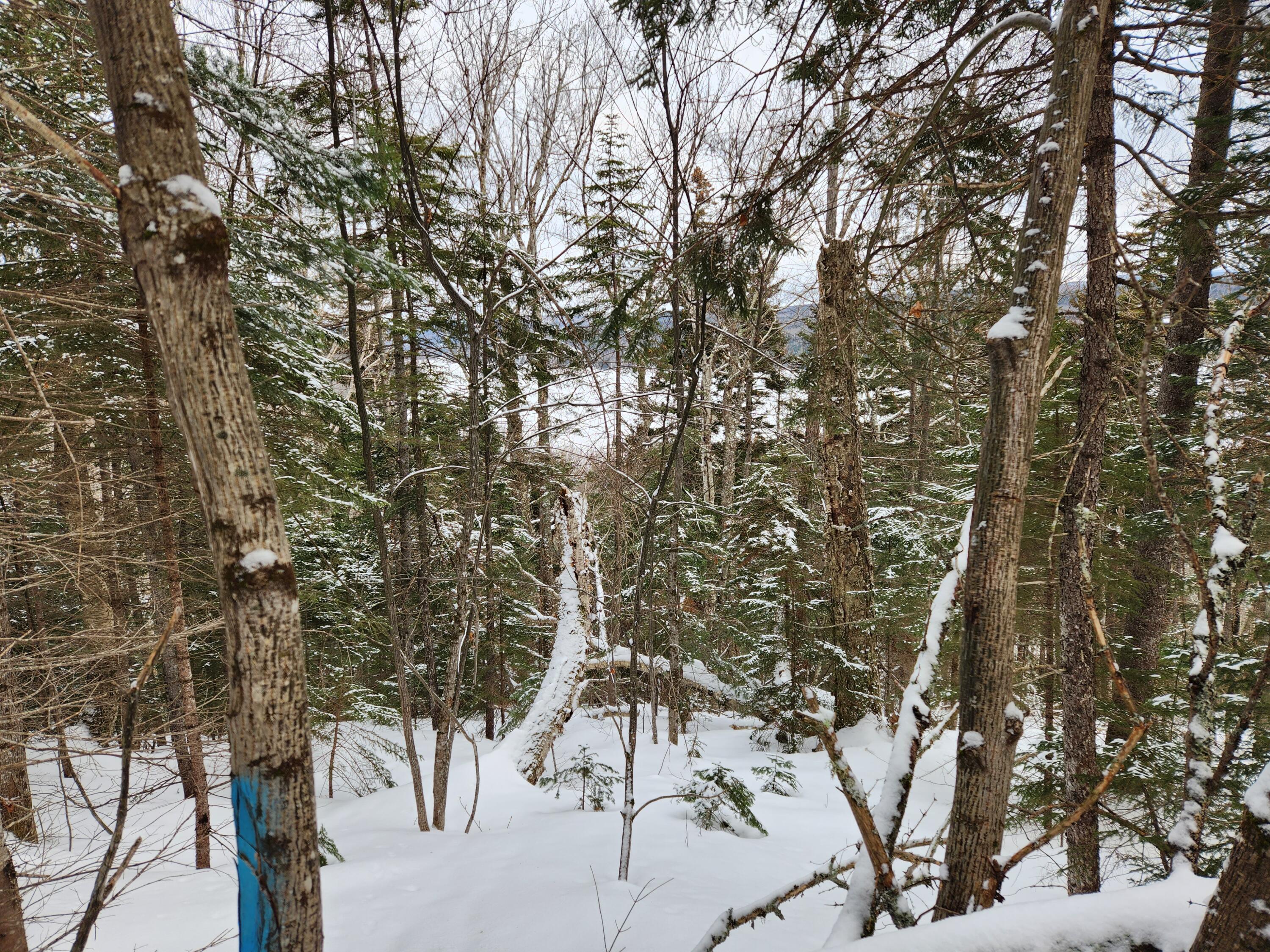 18-19 Edelheid Road Sandy River Plt, ME 04970 - Photo 9 of 11 Looking towards Lake
