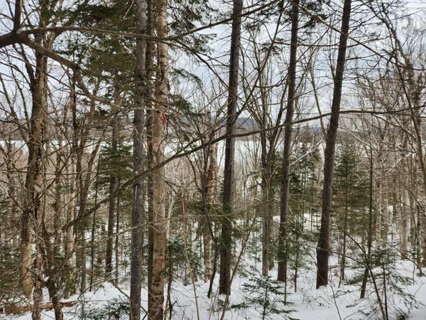 $115,000 | 18-19 Edelheid Road, Sandy River Plt, ME 04970